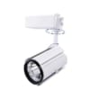 Rọi Ray 3